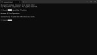 Flushing DNS cache on Windows 11 (Image via Microsoft)